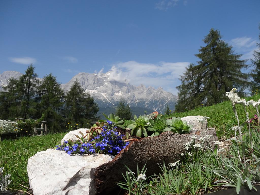 Hotel La Caminatha Val di Zoldo Dış mekan fotoğraf